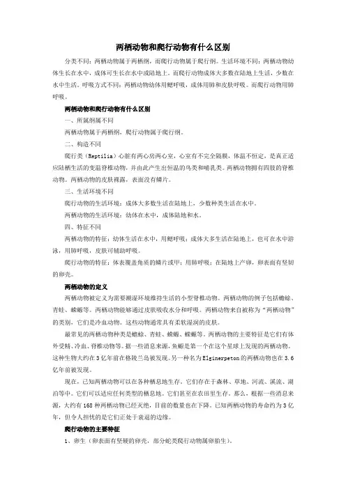 两栖动物和爬行动物有什么区别