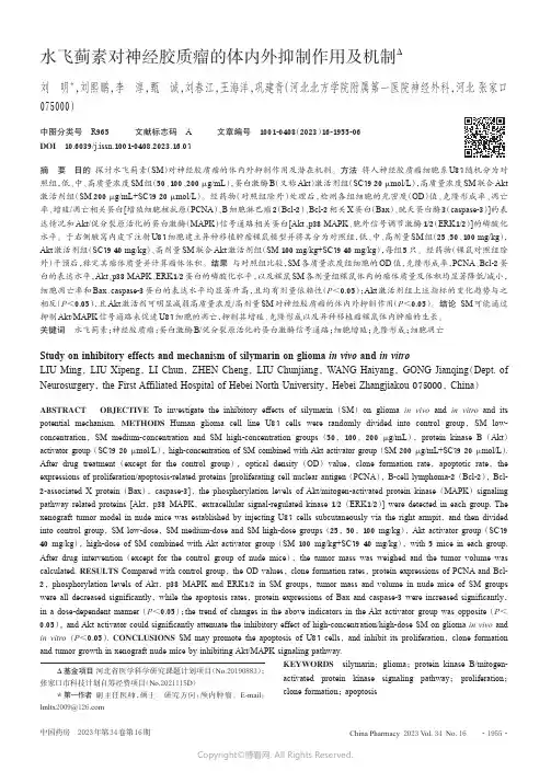 水飞蓟素对神经胶质瘤的体内外抑制作用及机制