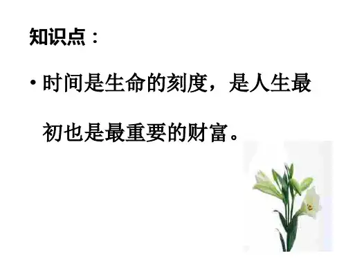 做时间的主人 课件 (共24张PPT)