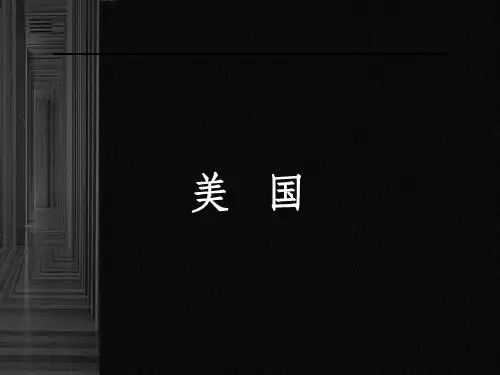美国设计史
