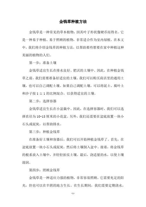 金钱草种植方法