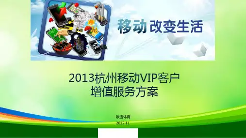移动VIP客户增值服务方案(ppt 28页)