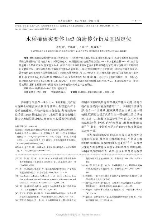 水稻稀穗突变体lax3的遗传分析及基因定位