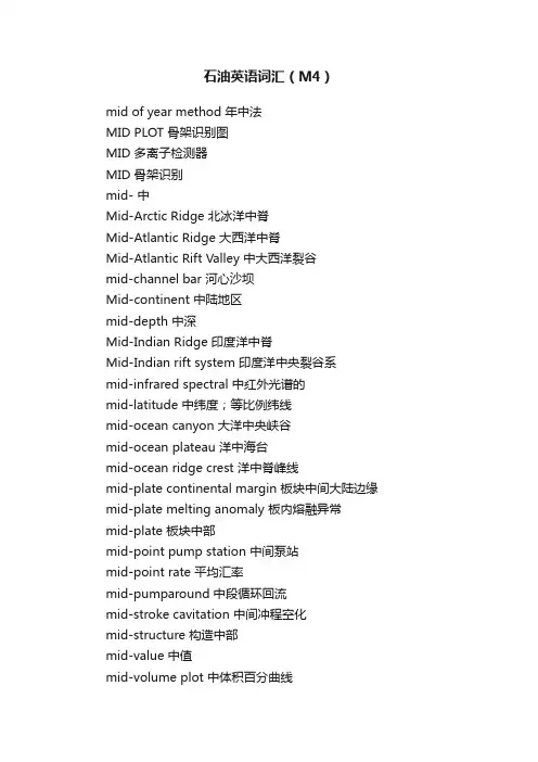 石油英语词汇（M4）