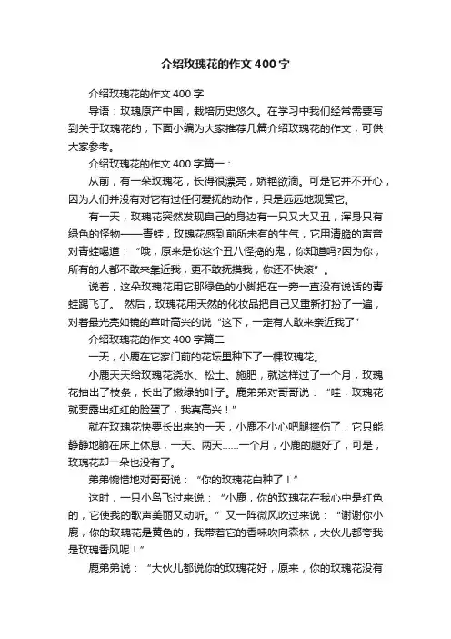介绍玫瑰花的作文400字