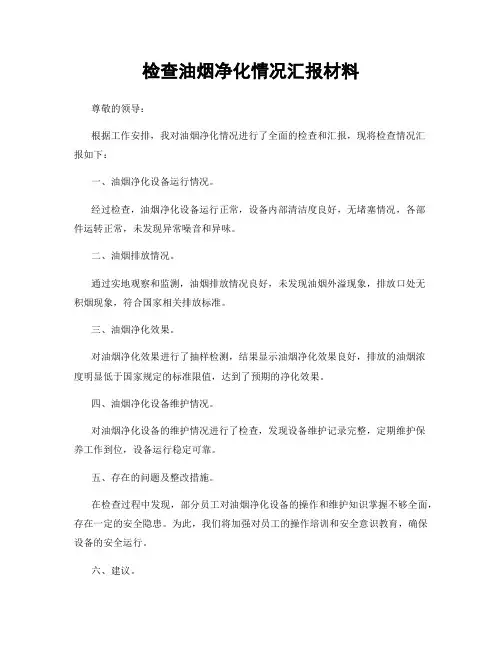 检查油烟净化情况汇报材料
