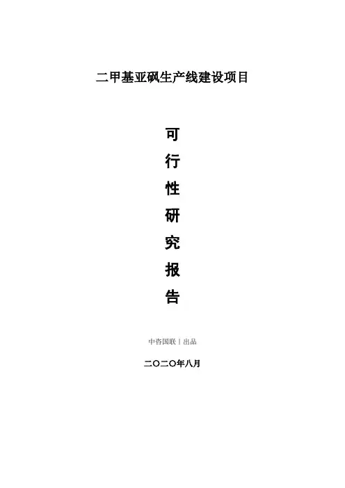 二甲基亚砜生产建设项目可行性研究报告