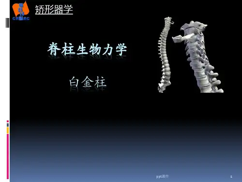 脊柱生物力学  ppt课件