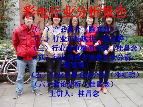 第六小组彩电行业分析.pptx