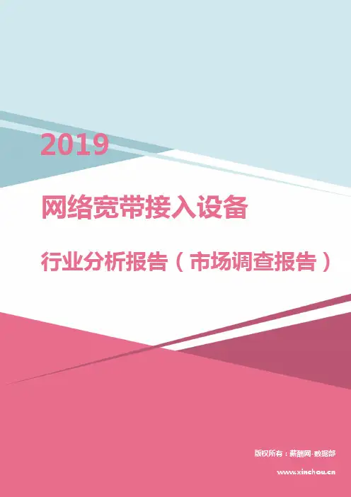 2019年网络宽带接入设备行业分析报告(市场调查报告)