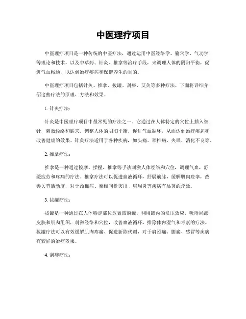 中医理疗项目