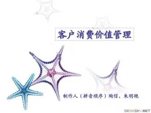 客户消费价值管理