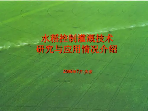 水稻控制灌溉技术讲座精品PPT课件