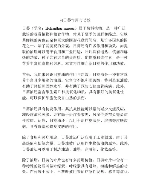 向日葵作用与功效