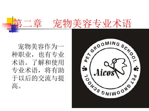 宠物美容美容专业术语介绍 