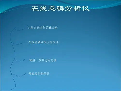在线总磷分析仪 课件