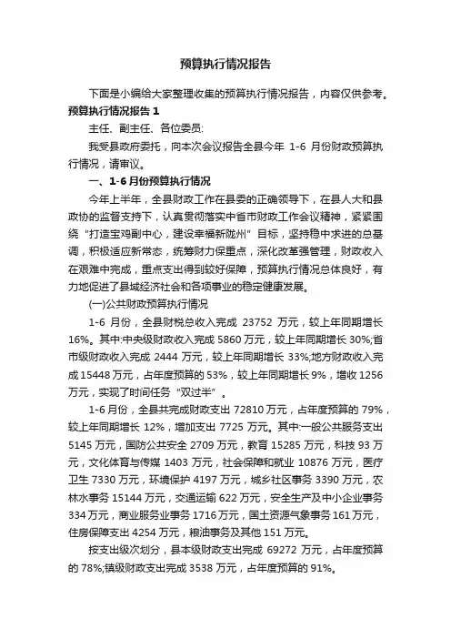 预算执行情况报告