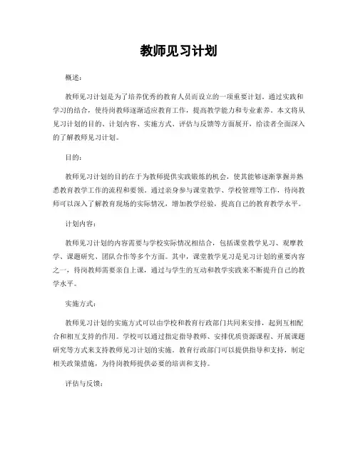 教师见习计划