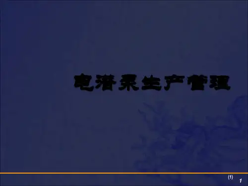 《电潜泵管理》PPT课件_OK