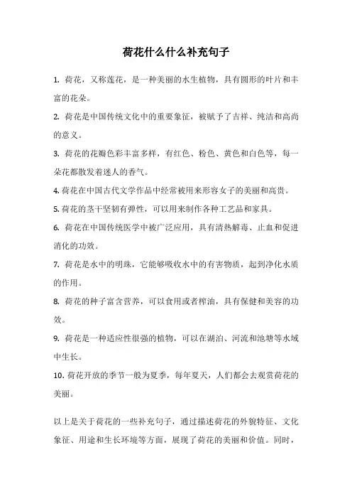 荷花什么什么补充句子