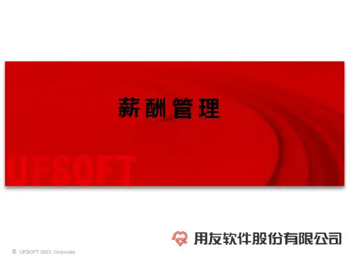 用友薪酬管理理论概述