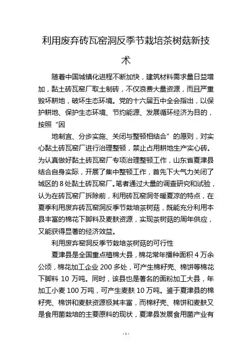 利用废弃砖瓦窑洞反季节栽培茶树菇新技术