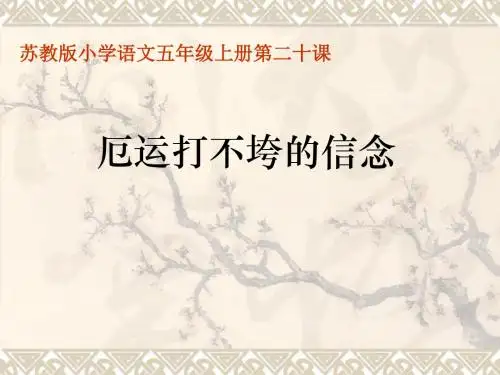 五年级上册语文厄运打不垮的信念苏教版