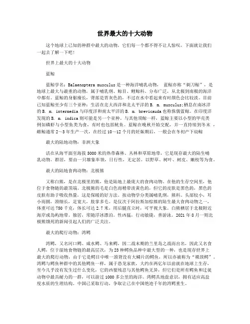 世界最大的十大动物