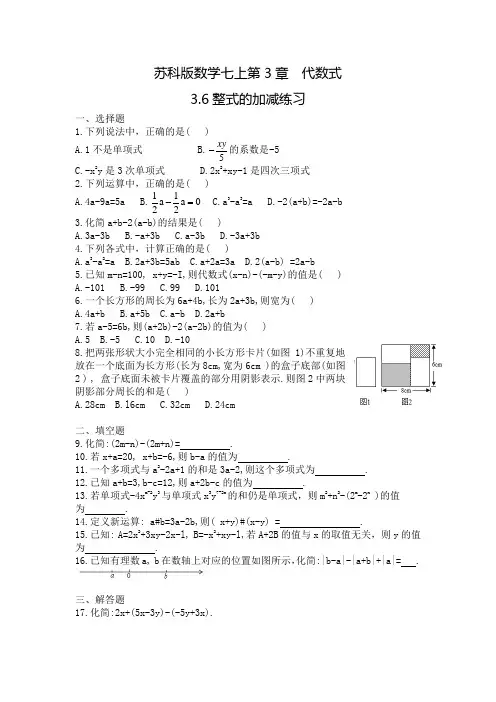 苏科版七上3.6整式的加减练习