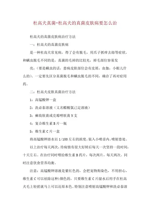 杜高犬真菌-杜高犬的真菌皮肤病要怎么治