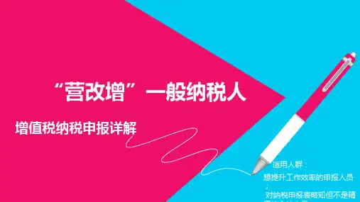 一般纳税人申报表讲解精品示范ppt85张)