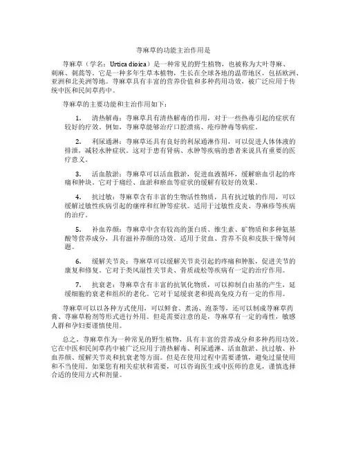 荨麻草的功能主治作用是