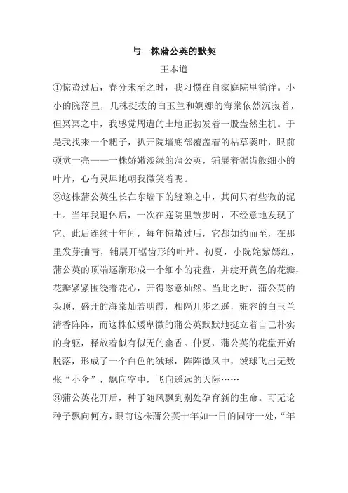王本道《与一株蒲公英的默契》阅读练习及答案(2017年北京市中考题)