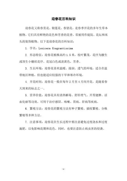 迎春花百科知识