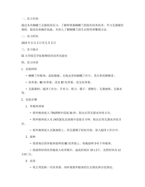 蝴蝶兰无菌组培实习报告