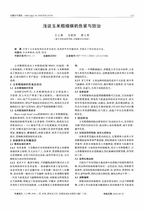 浅谈玉米粗缩病的危害与防治