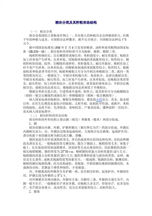 稻谷分类及其籽粒形态结构