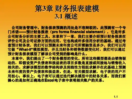 第3章财务报表建模精编版
