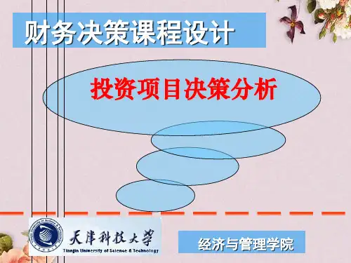 投资项目决策分析培训教材(PPT 82页)