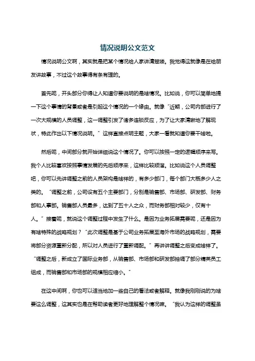 情况说明公文范文
