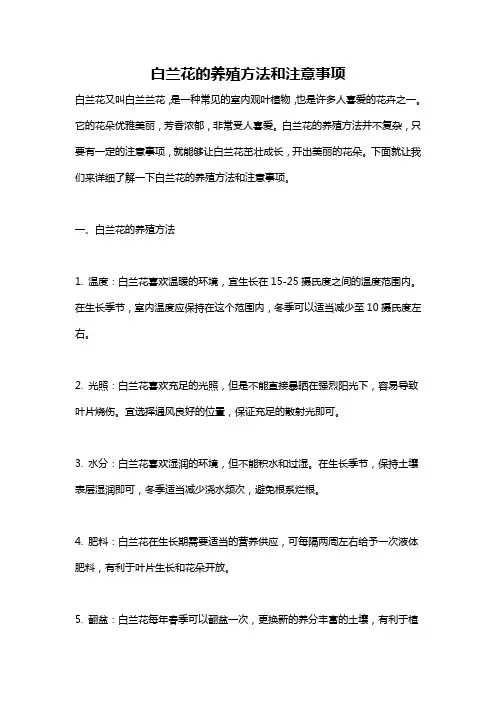 白兰花的养殖方法和注意事项