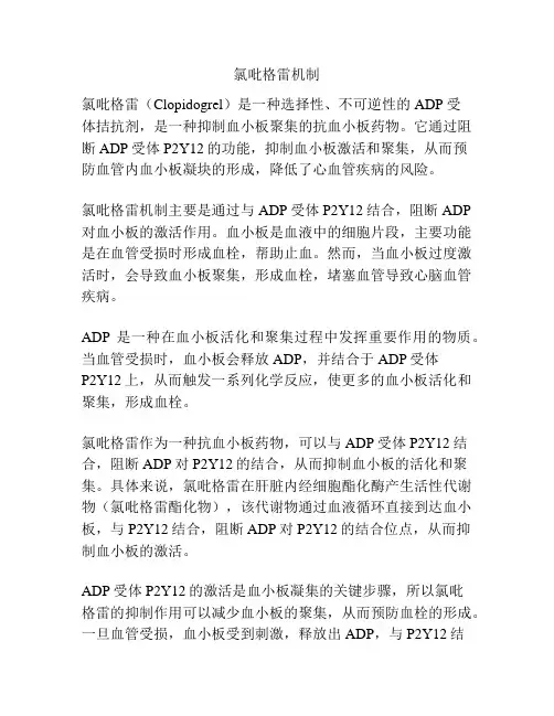 氯吡格雷机制