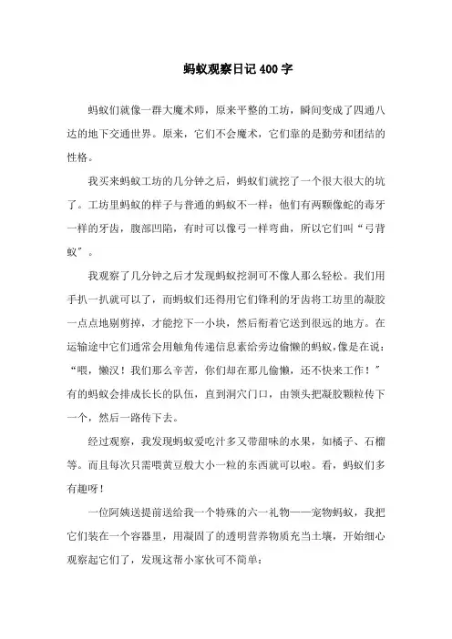蚂蚁观察日记400字精选