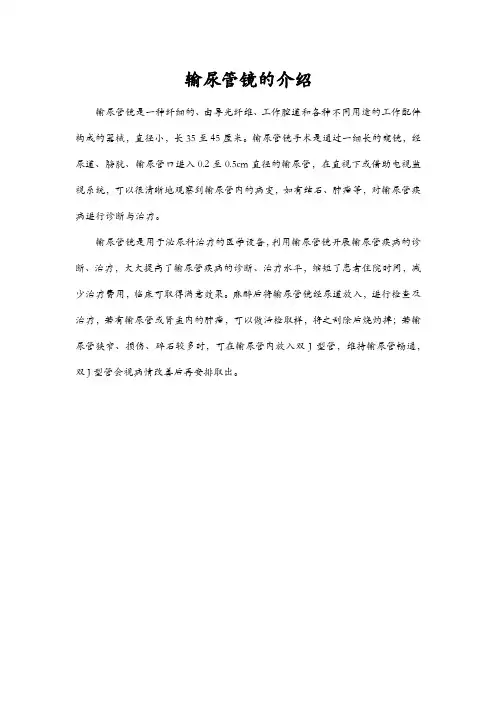 输尿管镜的介绍