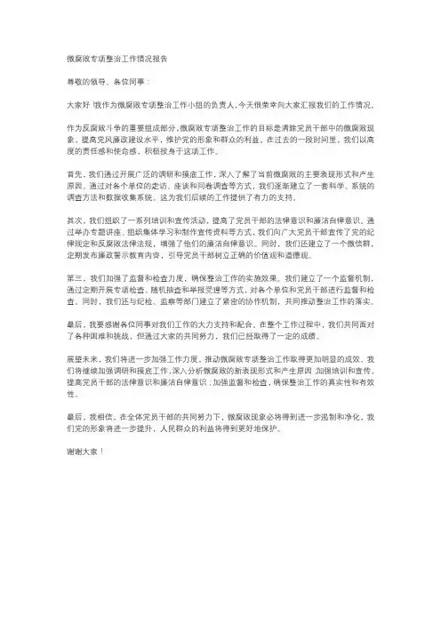 微腐败专项整治工作情况报告