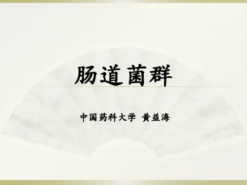 肠道菌群