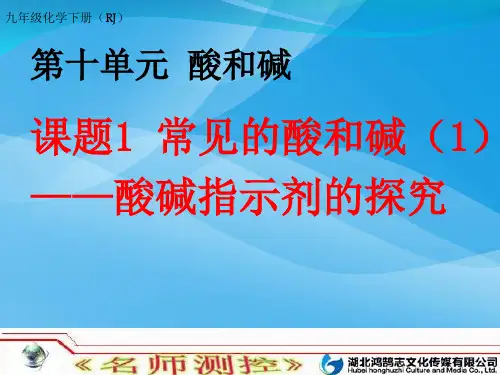 常见的酸和碱PPT课件34 人教版优质课件