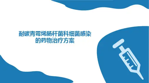 耐碳青霉烯肠杆菌科细菌感染的药物治疗方案