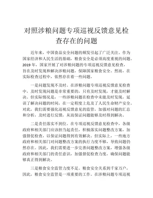 对照涉粮问题专项巡视反馈意见检查存在的问题