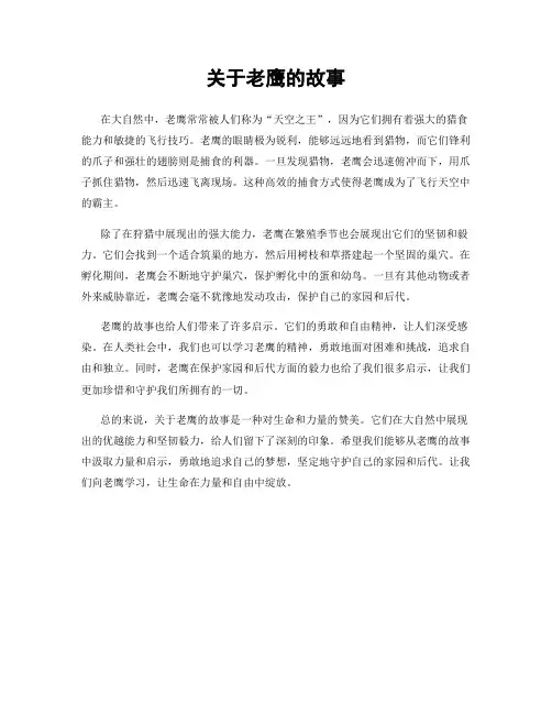 关于老鹰的故事